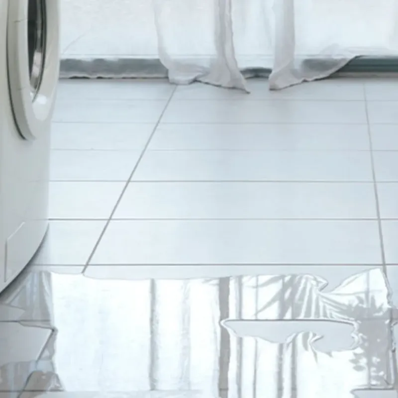 Appliance Leak Cleanup in Chanhassen, MN